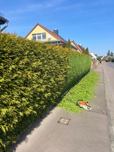 wohngebiet hecke gruenschnitt elektrische heckenschere