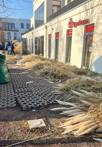 ziergras gruenschnitt hauswand gewerblich